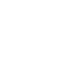 icon konzept